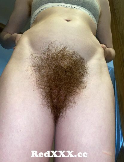 Just Hairy Pussy Pics