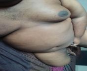 Indian chub from Malaysia from artis malaysia bogel sexads indian