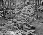 Some of the 60,000 dead bodies found on the grounds of Bergen-Belsen concentration camp following its liberation by British troops on April 15, 1945. from hlbalbums pk bergen